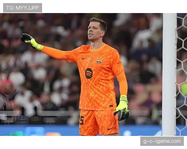 波兰什琴斯尼门神